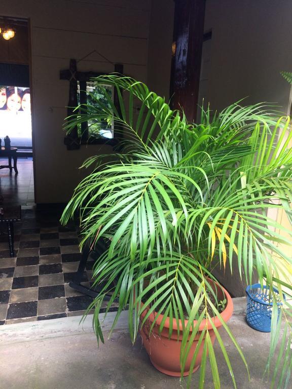 Hostel Los Abuelos 莫约加尔帕 外观 照片