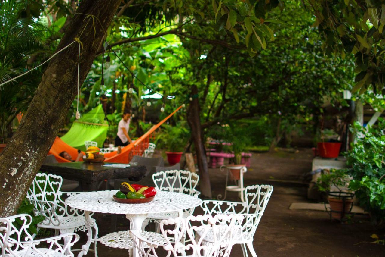 Hostel Los Abuelos 莫约加尔帕 外观 照片